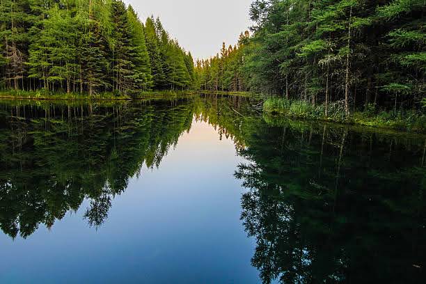 River flows through the wilderness of Michigan's Upper Peninsula boreal forest. The river flows from Kitch iti kipi spring into Indian Lake. Palms Book State Park, Manistique, Michigan.