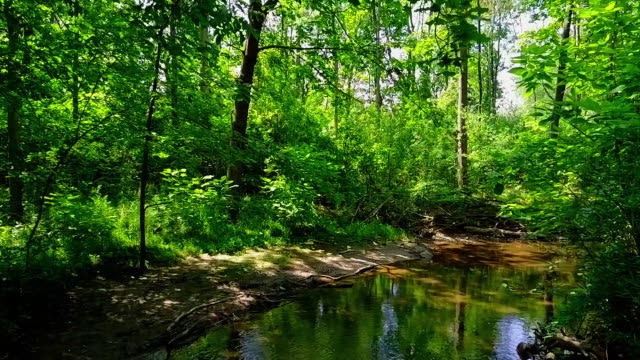 Drone flying over a creek in the woods in Michigan