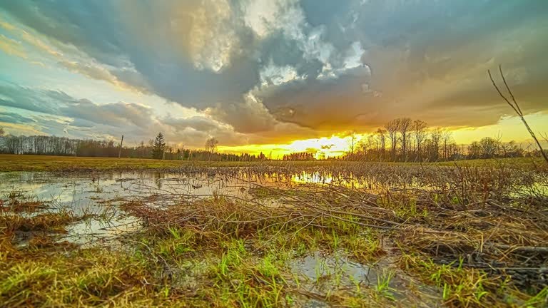 Low angle hyper lapse of flooded marshes at sunset while clouds cross the sky