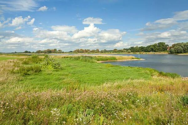 "River Elbe Landscape in Summer. Part of a nature reseve. Polder landscape, flood plain.For more pictures, please look here:"